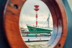 Dekoratives Detail - Ferienwohnung "MarinaNewPort" im NewPort - Top-Hundeurlaub