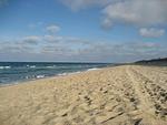 Haus Wattblick - Top-Hundeurlaub