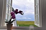 WH/07 - Top-Hundeurlaub