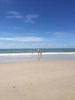 Strand - Strandhaus - Top-Hundeurlaub