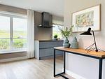 Strandhaus - Top-Hundeurlaub