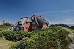 Whg 06 - Top-Hundeurlaub