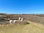 Whg 06 - Top-Hundeurlaub