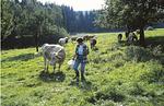 Ferienwohnungen Theresa & Sophie im Landhaus Krinning - Top-Hundeurlaub