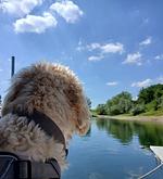 Happyfloß Hausboot - Top-Hundeurlaub