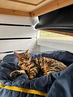 Happyfloß Hausboot - Top-Hundeurlaub