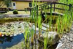 Hotel & Restaurant Pommerscher Hof - Top-Hundeurlaub