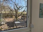 Storchenblick - Top-Hundeurlaub