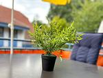 Balkon mit Dekoratives Detail - Wohnung 03-7 - Top-Hundeurlaub