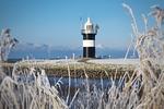 Strand - Ferienreihenhaus "Juist" Lale Andersen 2b "Juist" - Top-Hundeurlaub