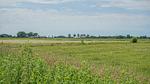 Landschaft - Dünenwarft West - Top-Hundeurlaub