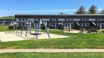 Outdoor - Ferienhaus für 7 Personen (45 m²) in Hemmet - Top-Hundeurlaub
