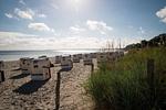 Fewo Knurr 42/18 Haffkrug Haus am Kurpark - Top-Hundeurlaub