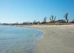Seetempel App.34 Scharbeutz Strandallee 99 - Seetempel App.34 Scharbeutz Strandallee 99 - Top-Hundeurlaub