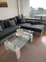 Wohnzimmer mit grauem Sofa und Glastisch - Ferienpark App. 595/5  - Sierksdorf - Top-Hundeurlaub
