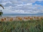 Strandlandschaft mit Strandkörben - Nautica App A6, Strandallee 65 Haffkrug - Top-Hundeurlaub
