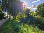 Landschaft mit Weiden und Bäumen - Nautica App A6, Strandallee 65 Haffkrug - Top-Hundeurlaub