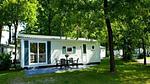 ExteriorSummer - Ferienhaus für 5 Personen (40 m²) in Otterlo - Top-Hundeurlaub