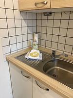 Küche / Küchenzeile - Ferienhaus Thönnes Wohnung 3 - Top-Hundeurlaub