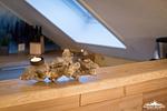 Auszeit im Harz - Haus 3 - Wohnung 8 - Top-Hundeurlaub