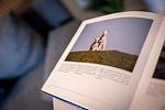 Dekoratives Detail - Nordsee - Top-Hundeurlaub