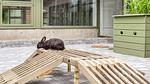 Untagged - Ferienhaus für 7 Personen (61 m²) in Hanstholm - Top-Hundeurlaub