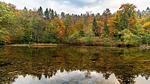 Untagged - Ferienhaus für 2 Personen (100 m²) in Schiefling am See - Top-Hundeurlaub