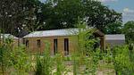 ExteriorSummer - Ferienhaus für 5 Personen (45 m²) in Otterlo - Top-Hundeurlaub