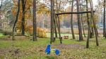 Ausstattung und Service des Ferienhauses - Ferienhaus für 7 Personen (75 m²) in Stramproy - Top-Hundeurlaub