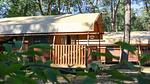 ExteriorSummer - Ferienwohnung für 3 Personen in Otterlo - Top-Hundeurlaub