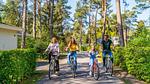 ParkFacilities - Ferienhaus für 4 Personen (30 m²) in Biddinghuizen - Top-Hundeurlaub