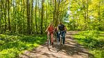 ParkFacilities - Ferienhaus für 4 Personen (30 m²) in Biddinghuizen - Top-Hundeurlaub