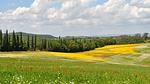 image/jpeg - Ferienhaus für 5 Personen (75 m²) in Murlo - Top-Hundeurlaub