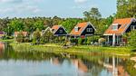 AreaSummer1KM - Ferienhaus für 5 Personen in Otterlo - Top-Hundeurlaub