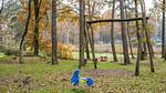 Ausstattung und Service des Ferienparks - Ferienhaus für 7 Personen (75 m²) in Stramproy - Top-Hundeurlaub
