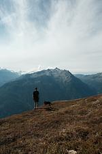 Think Pawsitive - Top-Hundeurlaub