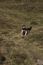 Think Pawsitive - Top-Hundeurlaub