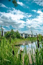 Urlaubsangebote - Top-Hundeurlaub