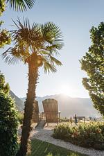 "Palmen & Almen" - Top-Hundeurlaub