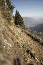 Gipfelwochen - Top-Hundeurlaub