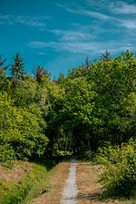 Winterangebot - Top-Hundeurlaub