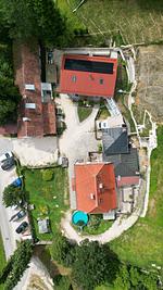 Frühlingsangebot - Top-Hundeurlaub