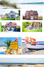 Ostseekuschelwochen - Top-Hundeurlaub