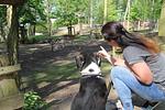 Halbpension PLUS - Top-Hundeurlaub