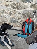 Harzer Hexenstieg - Top-Hundeurlaub