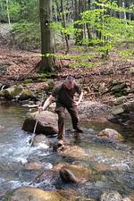 Harzer Hexenstieg - Top-Hundeurlaub