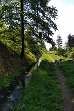 Der Klosterwanderweg - Top-Hundeurlaub