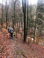 Der Klosterwanderweg - Top-Hundeurlaub