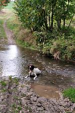 Der Klosterwanderweg - Top-Hundeurlaub