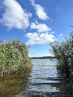 Winterwoche im Januar - Top-Hundeurlaub